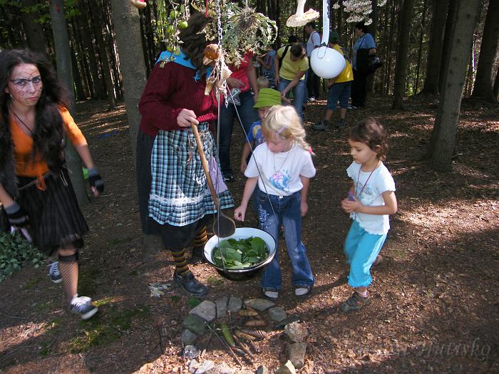 2008_0831pohadkovyles0102.JPG